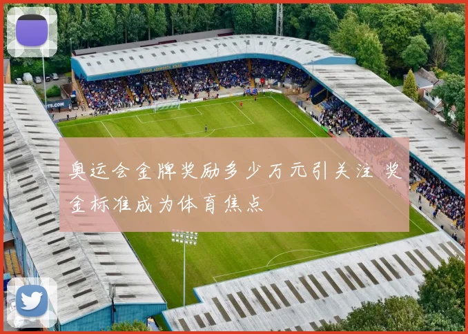 奥运会金牌奖励多少万元引关注 奖金标准成为体育焦点