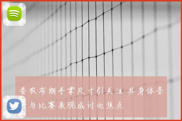 香农布朗手掌尺寸引关注 其身体条件与比赛表现成讨论焦点