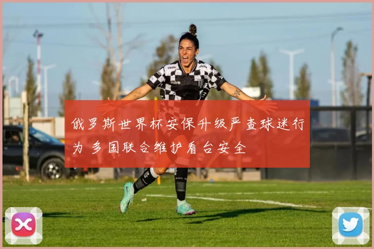 俄罗斯世界杯安保升级严查球迷行为 多国联合维护看台安全
