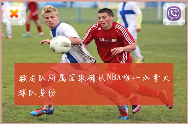 猛龙队所属国家确认NBA唯一加拿大球队身份